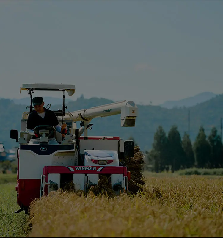 京都、テロワール