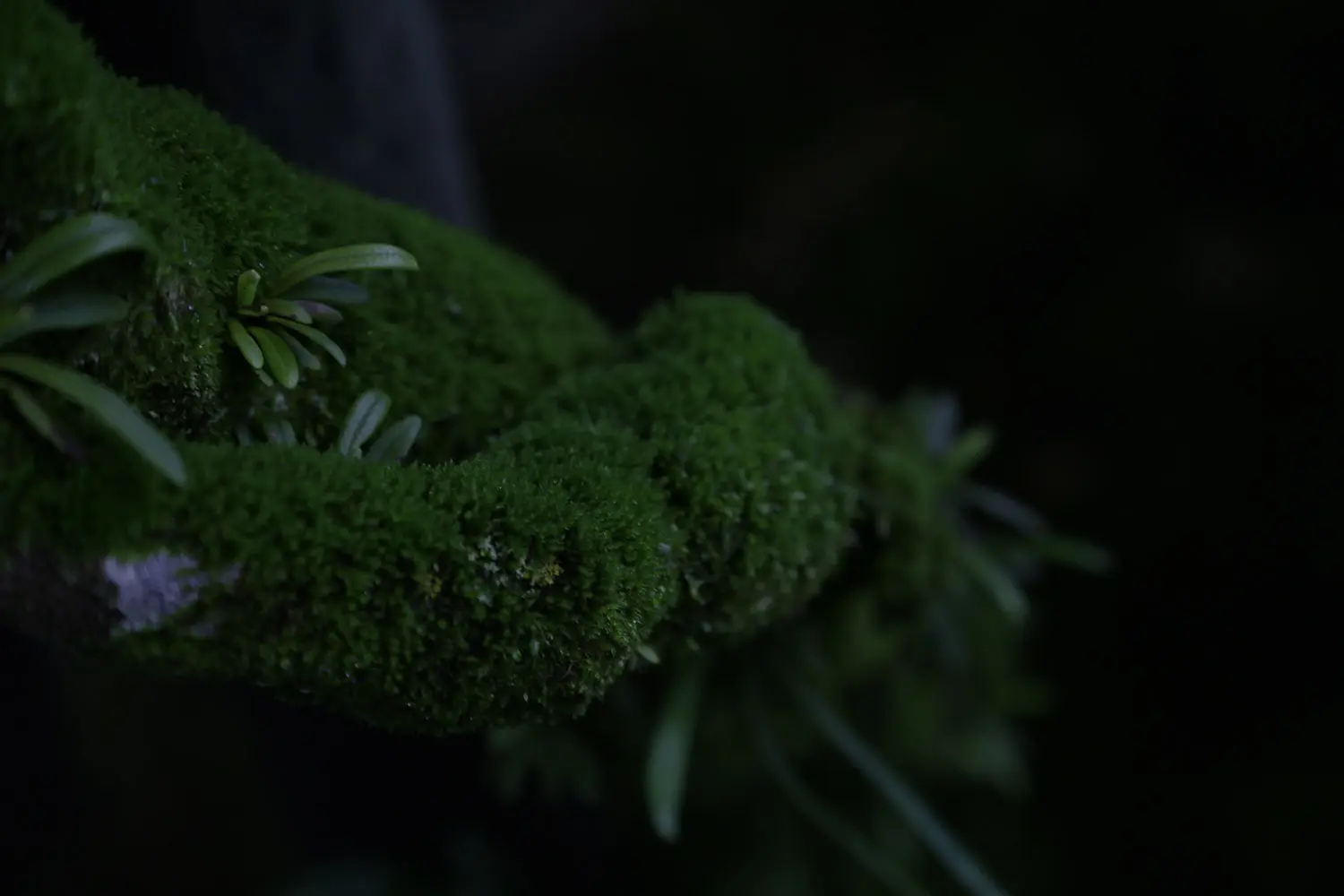 Sustainable initiatives