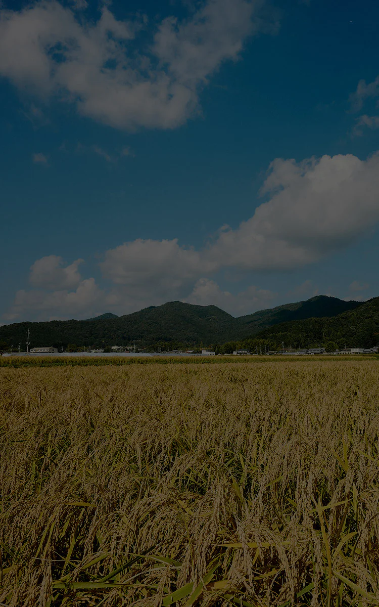 Kyoto, Terroir