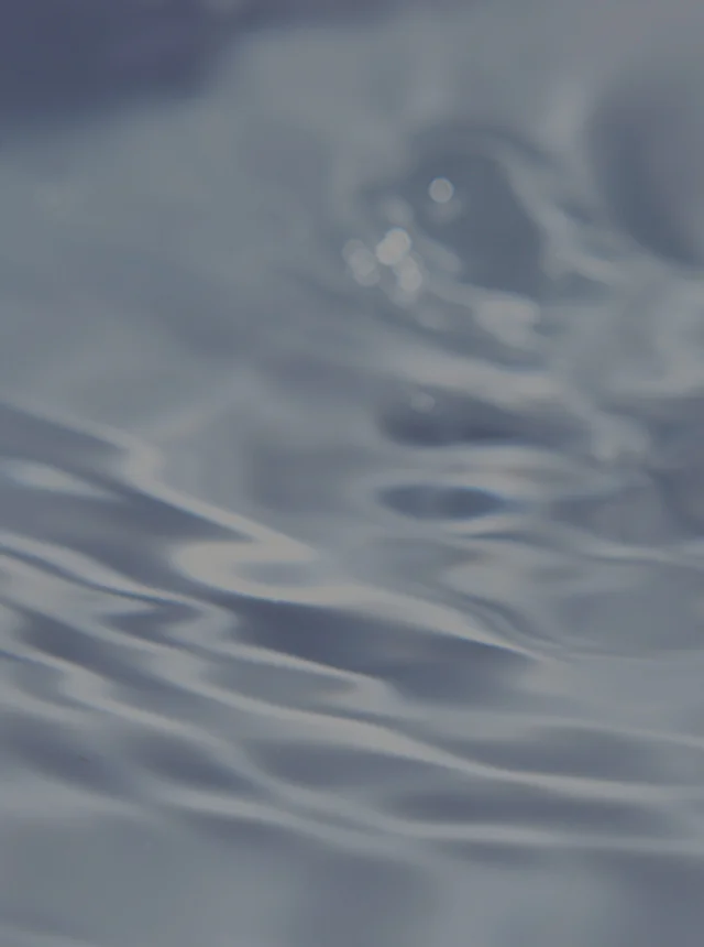 Water of Kyoto・Fushimizu